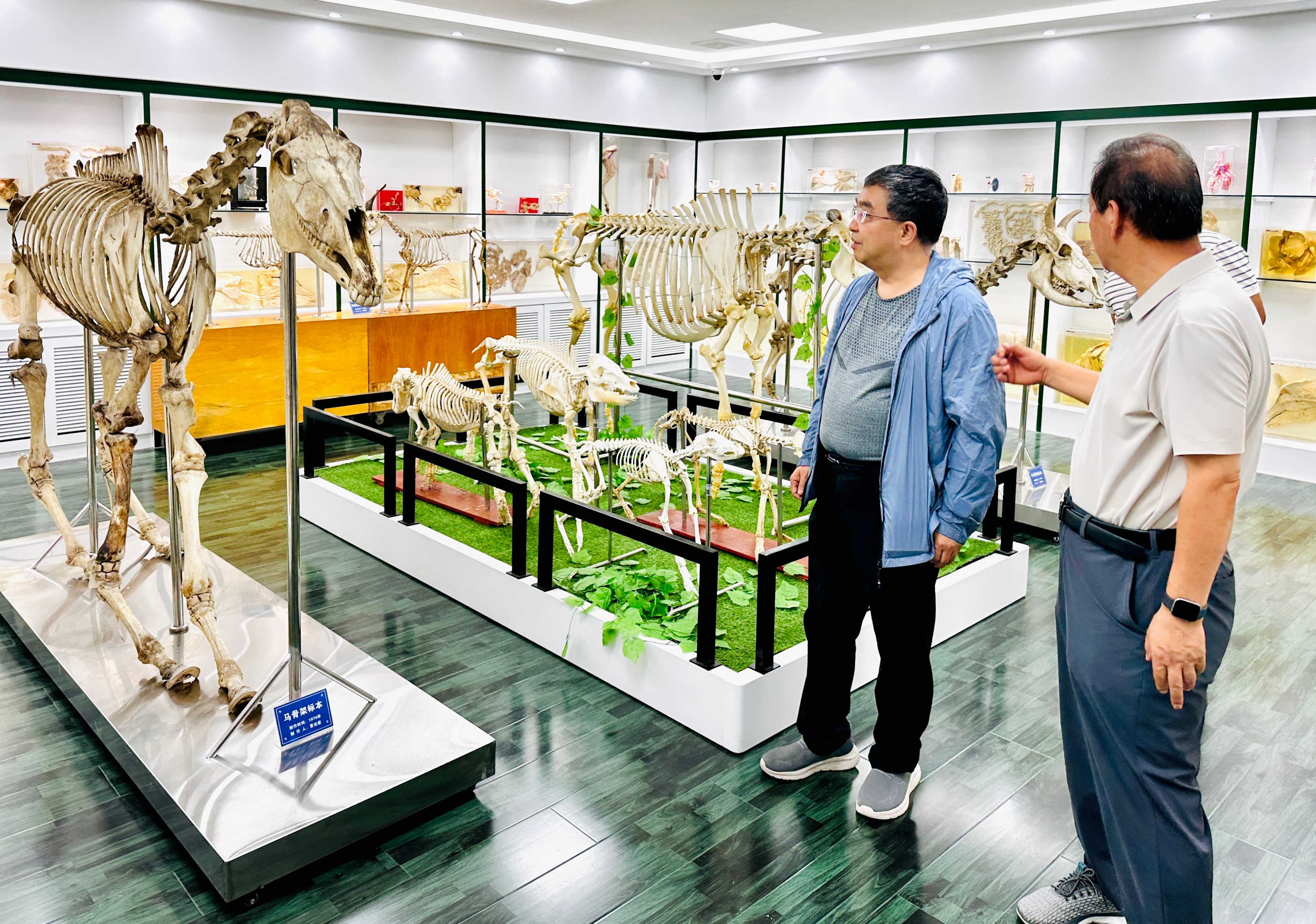 图片3_副本.jpg
