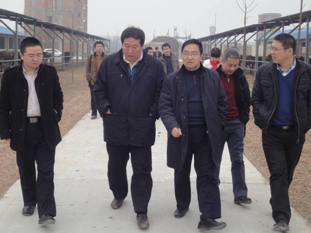 陕西海升果业发展股份有限公司高亮董事长一行在国家肉牛改良中心良繁