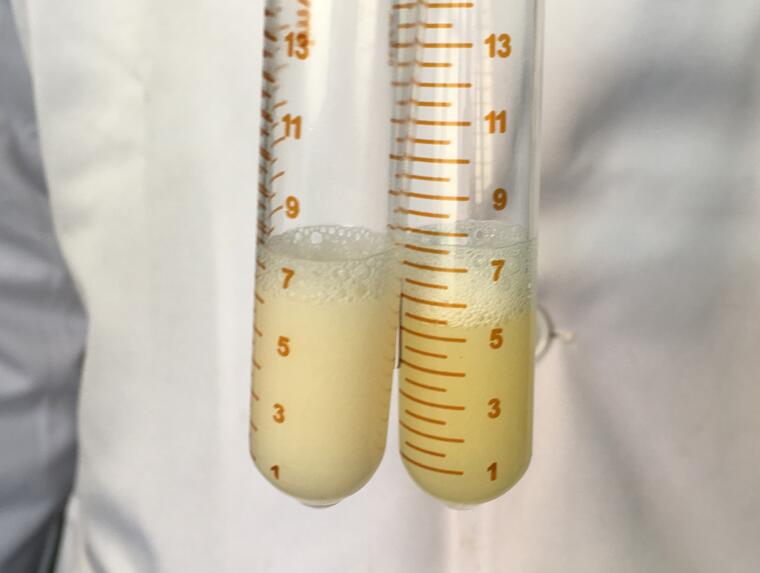 中心良繁场秦川肉牛新品系细管冻精生产成功
