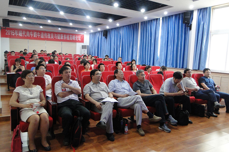 会议现场.jpg