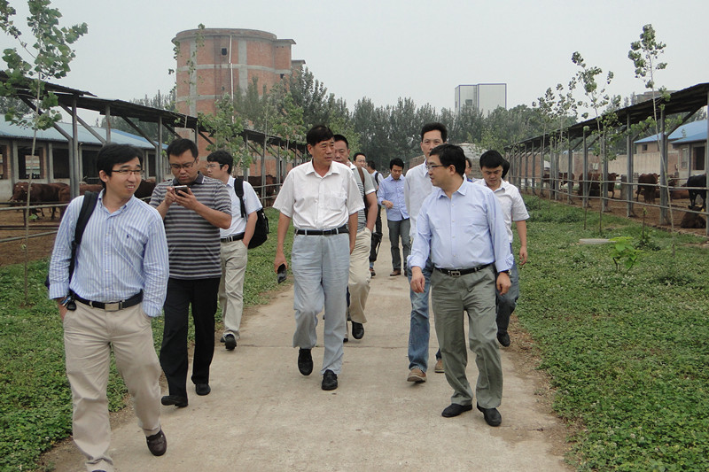 2.在我校肉牛育种基地现场考察_副本.jpg