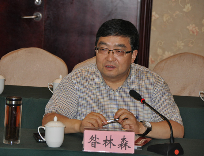 课题首席科专家昝林森教授出席会议并讲话.jpg