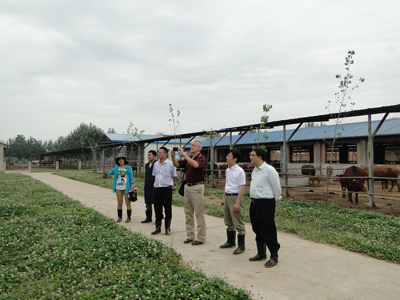 4.Smith教授参观国家肉牛改良中心良繁场_副本.jpg