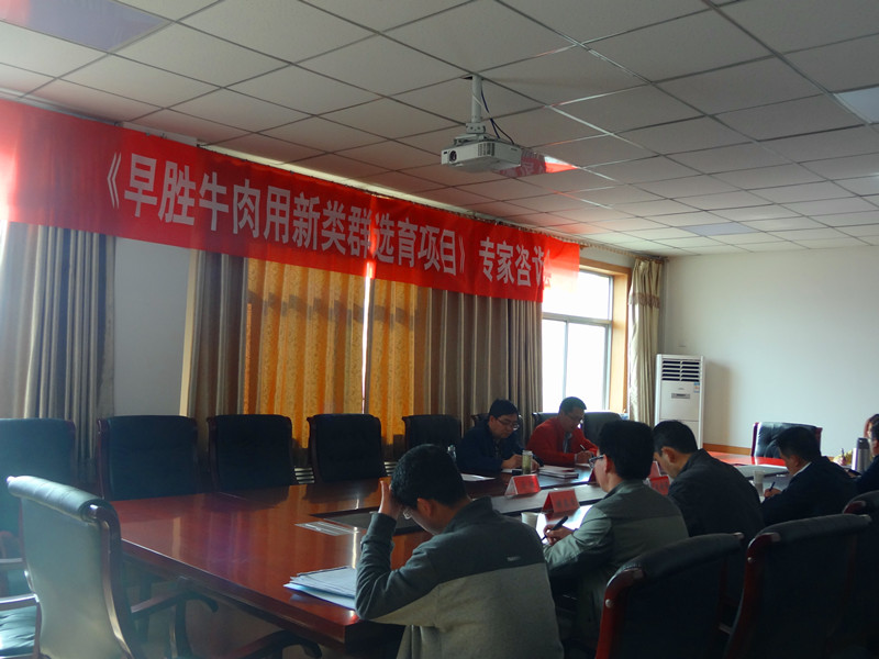 3.参加早胜牛项目技术咨询会_副本.jpg