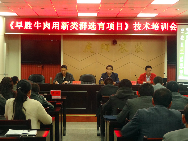 4.为早胜牛项目开展技术培训_副本.jpg