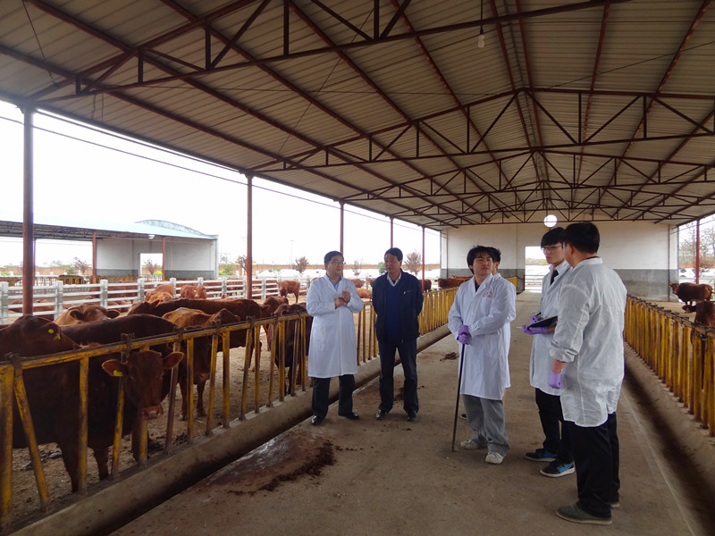 2.在陕西秦川牛业有限公司调研指导秦川肉牛育种工作_副本.jpg