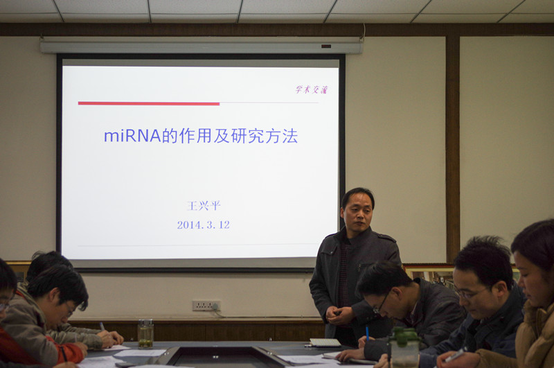 IMGP3250_副本.jpg