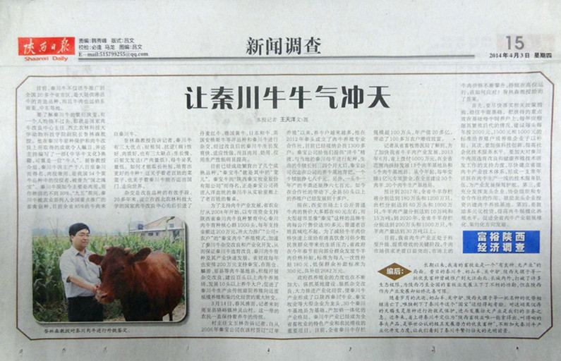 陕西日报_副本.jpg