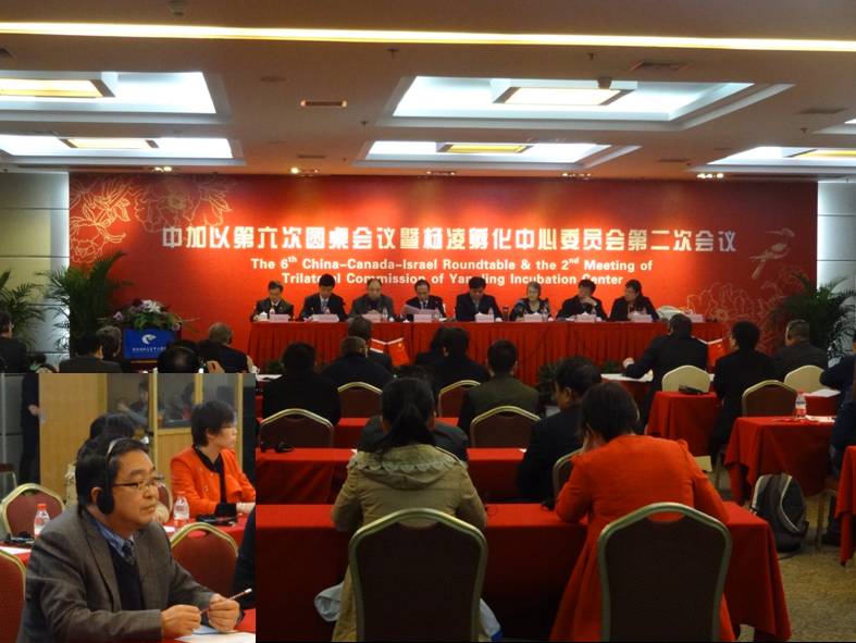 3 昝林森教授出席中加以第六次圆桌会议暨杨凌孵化中心委员会第二次会议.jpg