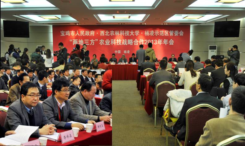 4 昝林森教授出席宝鸡、杨凌及我校的“两地三方”科技战略年会.jpg