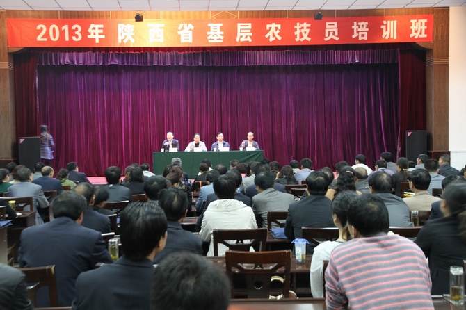 开班仪式现场.jpg