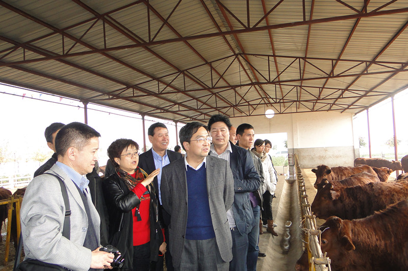 4.与会代表参观杨凌秦川肉牛良繁中心_副本.jpg