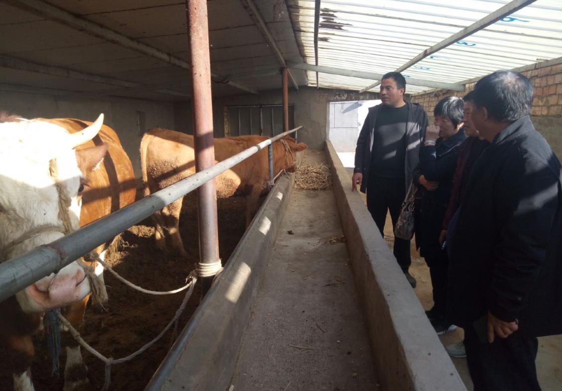 6c43032505e2437eacf2499902909956.jpg 6c43032505e2437eacf2499902909956.jpg