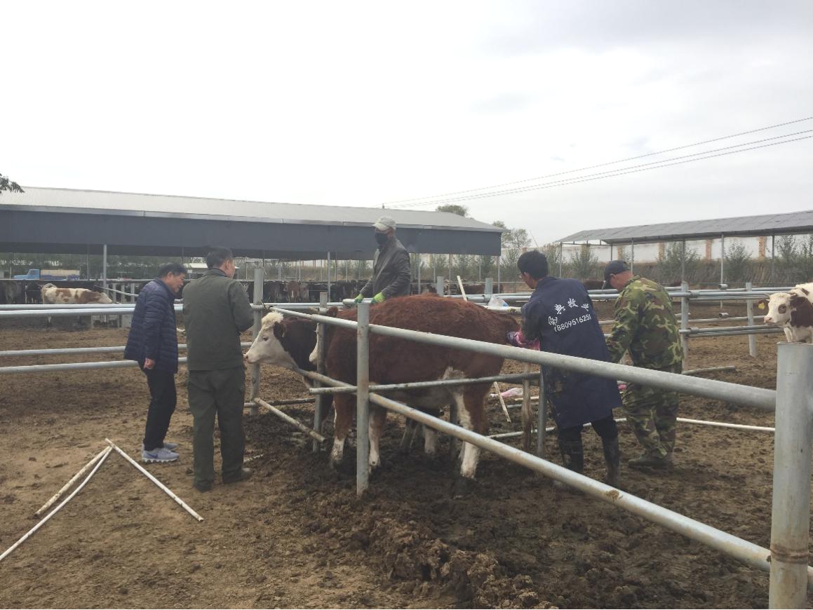 4adfac39966d410098029305088b0ee7.jpg 4adfac39966d410098029305088b0ee7.jpg