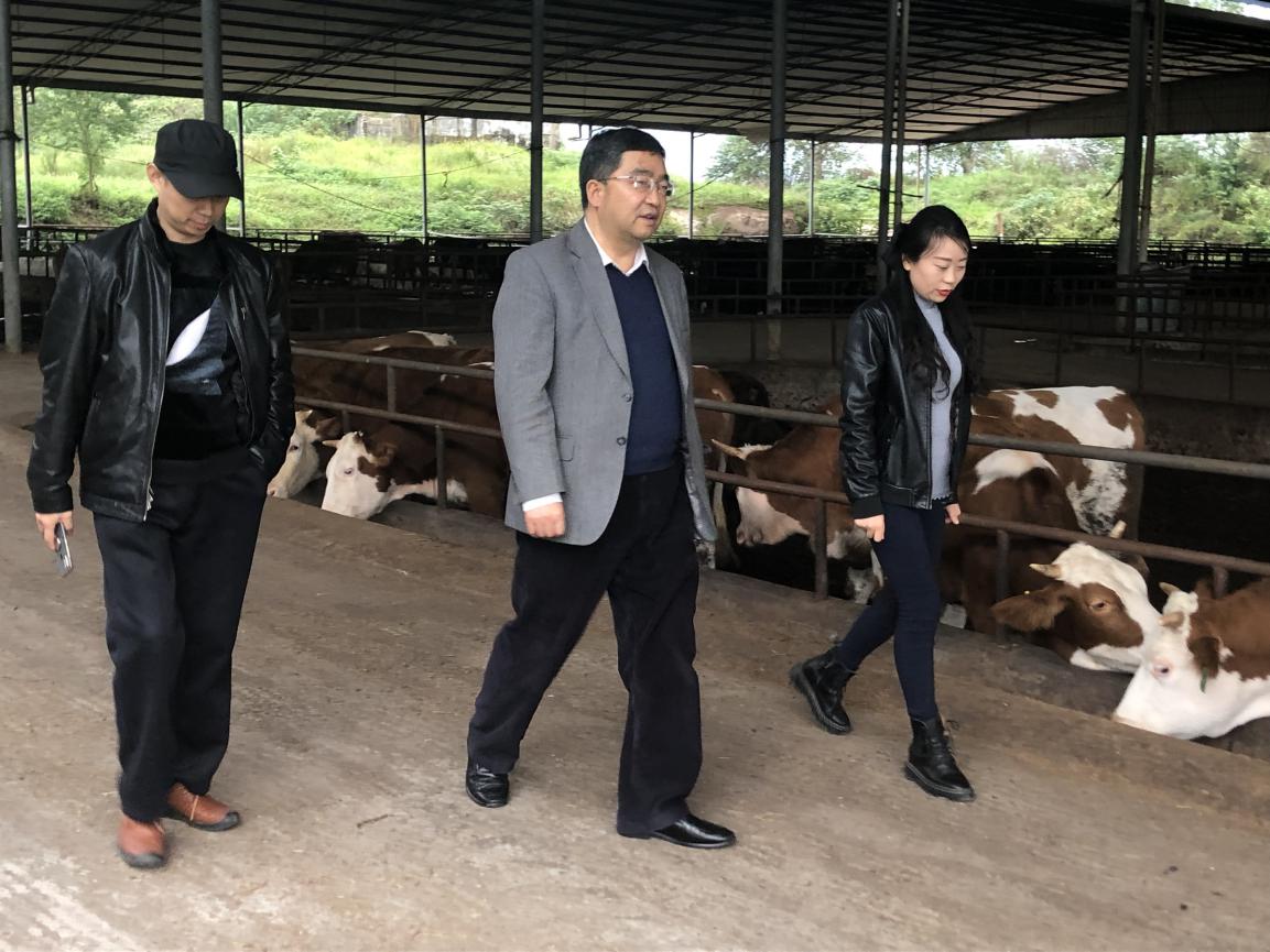 8df2704f71234d98804f1f75c05ba218.jpg 8df2704f71234d98804f1f75c05ba218.jpg