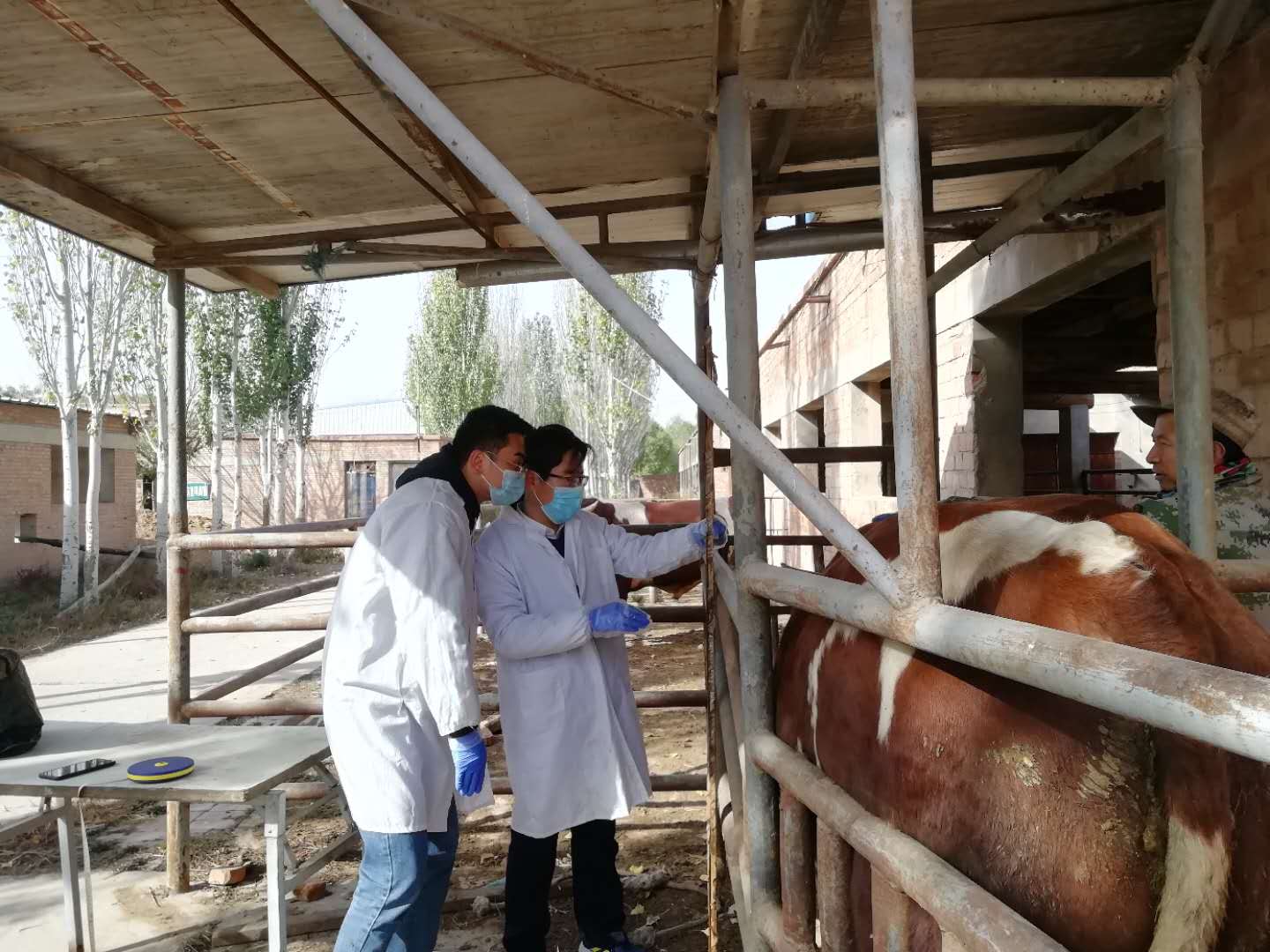 ca011a284e4e4555add083dc257da66d.jpg ca011a284e4e4555add083dc257da66d.jpg