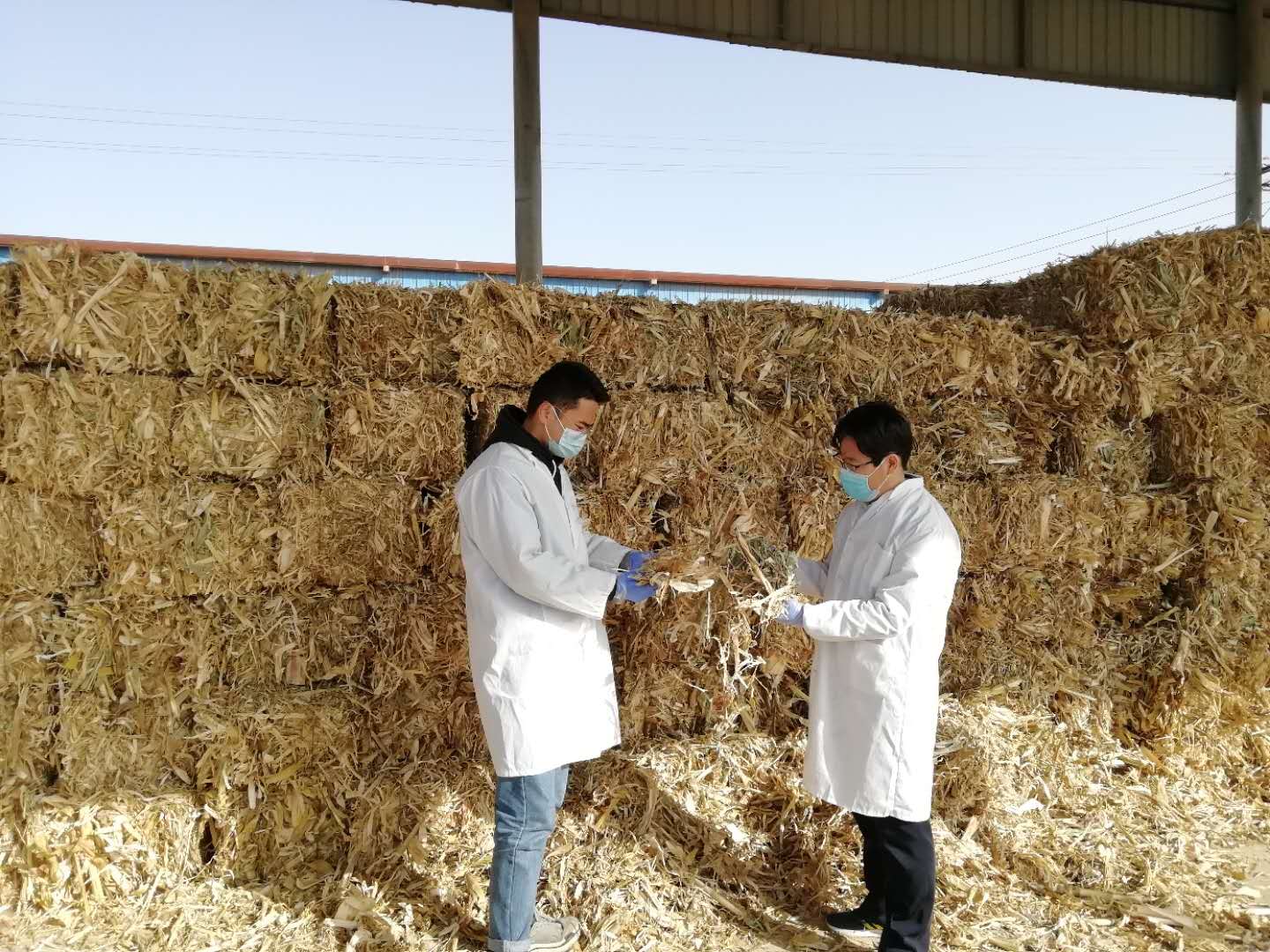 e800b3bbe1b244beb194800b7008c568.jpg e800b3bbe1b244beb194800b7008c568.jpg