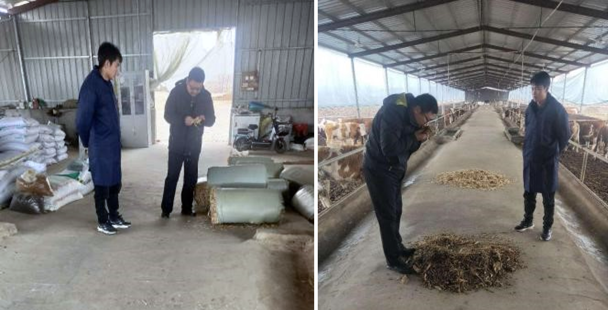 f2427b98fc464caebab28dcd5e2e3de3.png f2427b98fc464caebab28dcd5e2e3de3.png