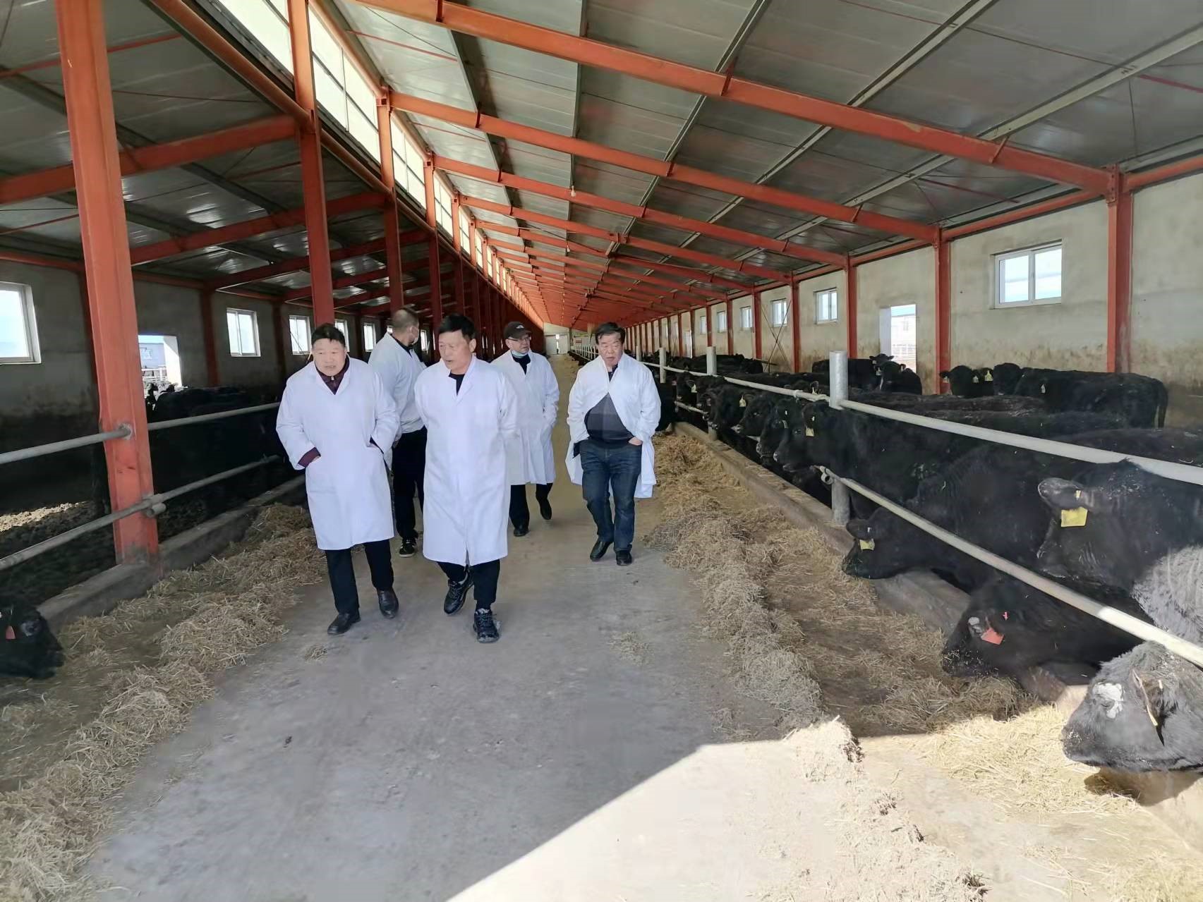 ac83925d7fd845d68648f2f825661868.jpg ac83925d7fd845d68648f2f825661868.jpg