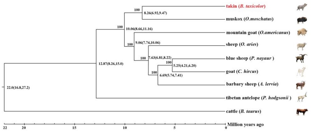 535e7efdc614461fa883381ecf3311cc.jpg 535e7efdc614461fa883381ecf3311cc.jpg