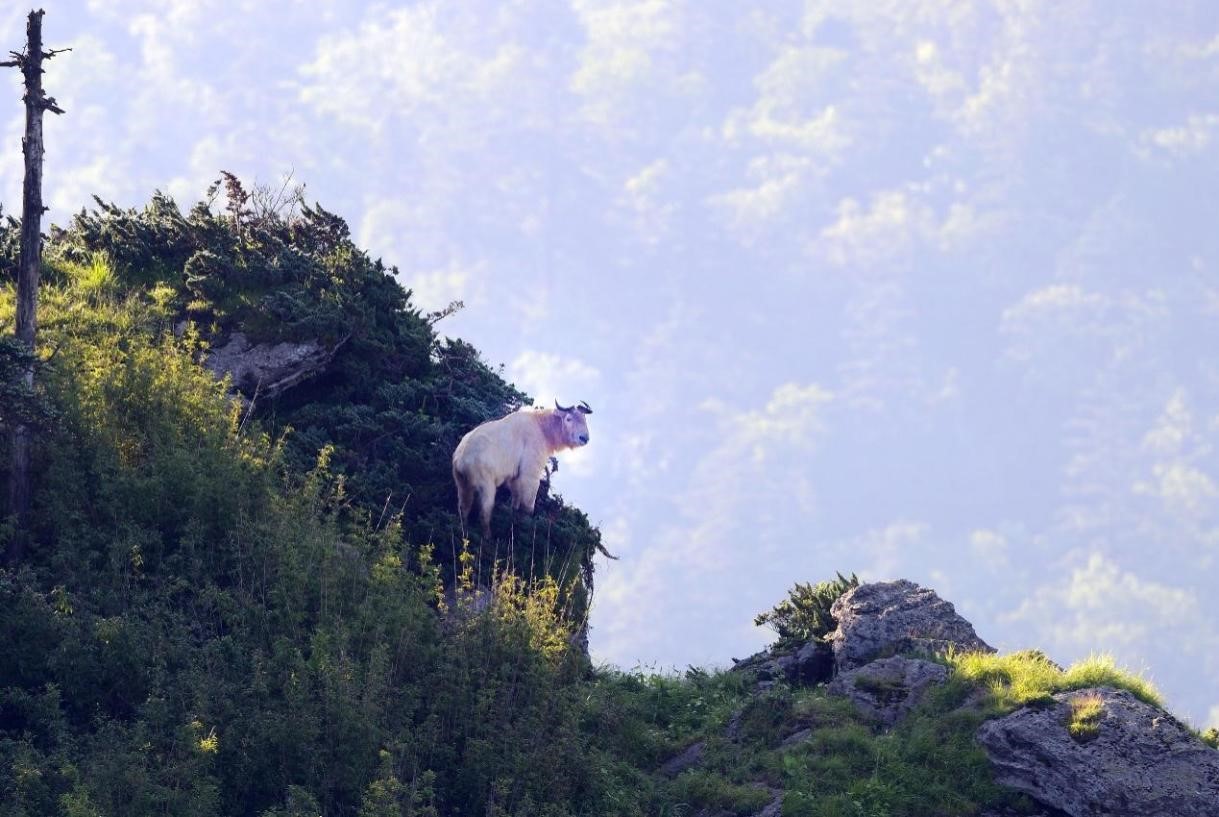 950749e4f015413cabd50f5d2b0e7ea4.jpg 950749e4f015413cabd50f5d2b0e7ea4.jpg