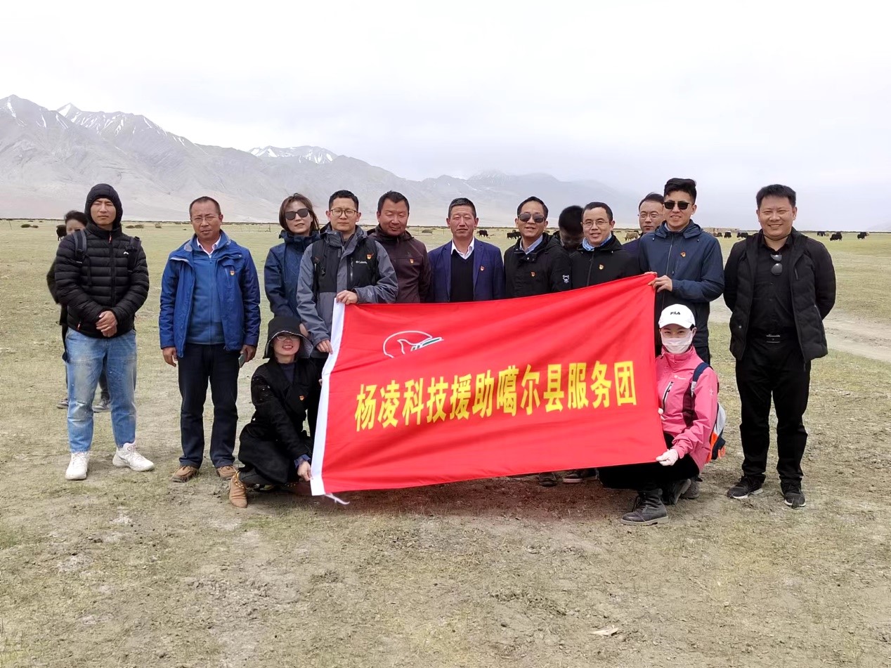 740c806471974d049ac318b4668baeeb.jpg 740c806471974d049ac318b4668baeeb.jpg