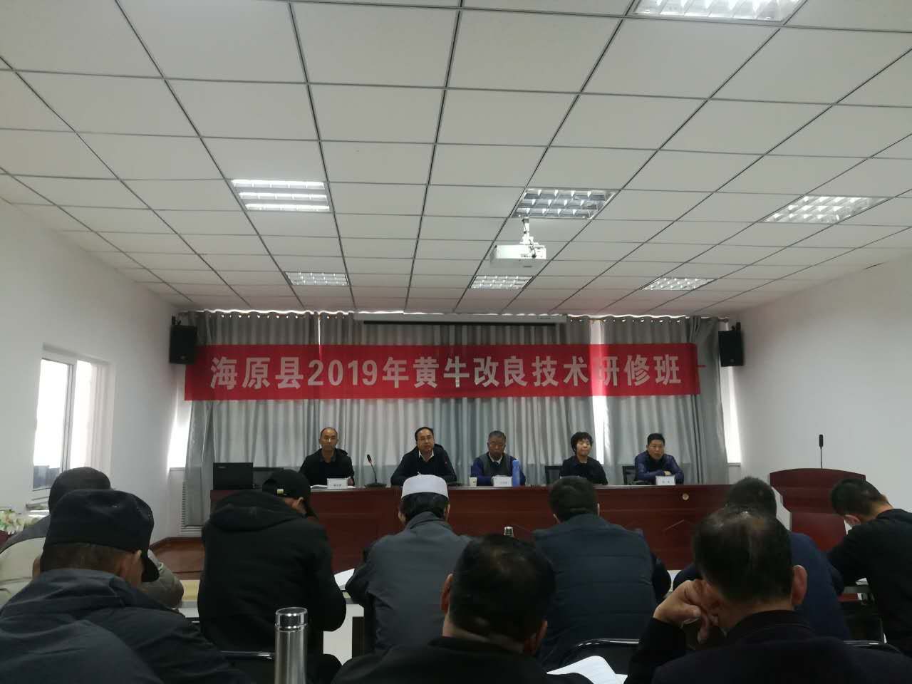 包含北京東直門中醫院、門口黃牛，為您解決掛號就醫難題專家團隊的詞條